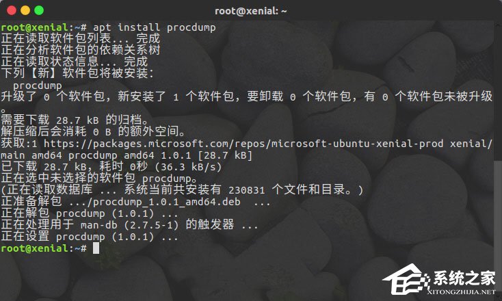 Linux系统如何安装使用ProcDump for Linux？