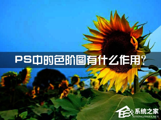 教你色阶是什么