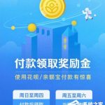 关于支付宝怎么查看奖励金