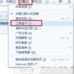 关于Windows7如何查看网页星号密码