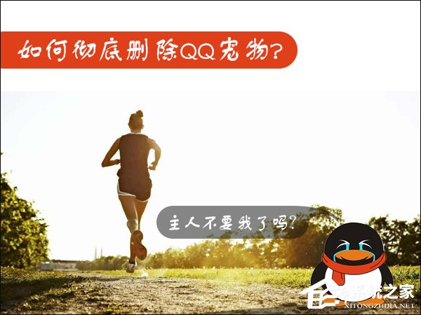 我来分享Win7如何卸载QQ宠物（如何卸载qq宠物程序）