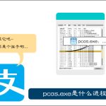 我来分享pcas.exe是什么进程