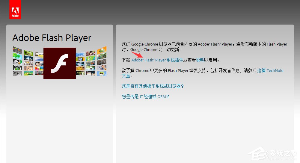 flashplayer播放器怎么升级？Adobe flash player的更新方法