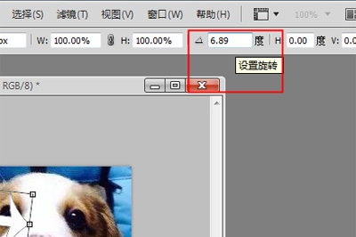PhotoShop如何旋转图片 简单几步即可