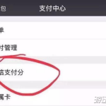 我来分享微信支付分是什么