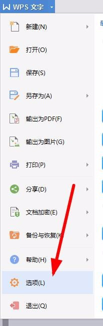 WPS设置禁止标点符号在行首显示具体操作流程