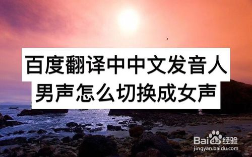 小编分享百度翻译中中文发音人男声如何切换成女声。