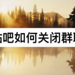 教你百度贴吧怎么关闭群聊消息。