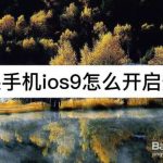 关于苹果手机iOS9如何开启热点。