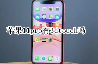 教你苹果11pro支持3dtouch吗。