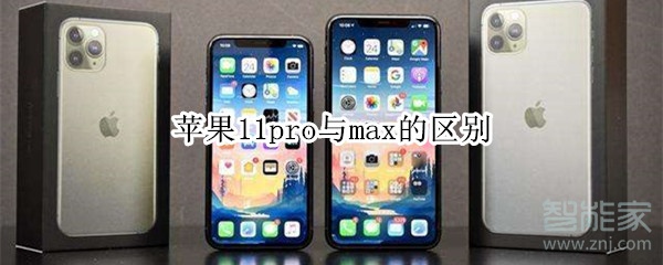 教你苹果11pro与max有哪些区别。