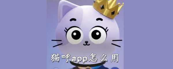 关于猫呼app如何使用。