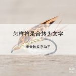 我来分享如何将录音转为文字。