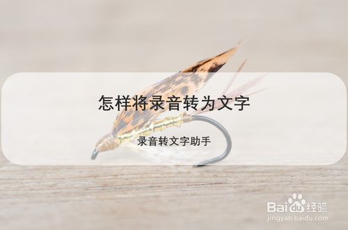 我来分享如何将录音转为文字。