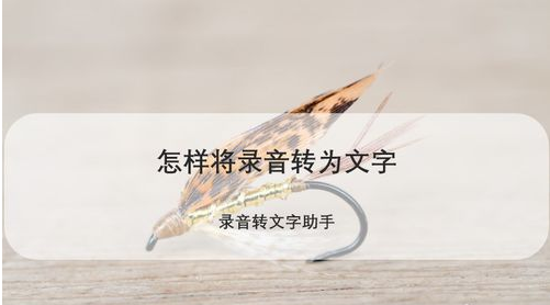 分享怎样将录音转为文字。