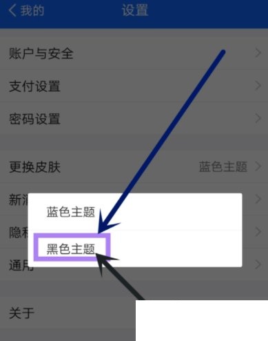 在蚂蚁财富APP中设置主题皮肤的具体步骤截图