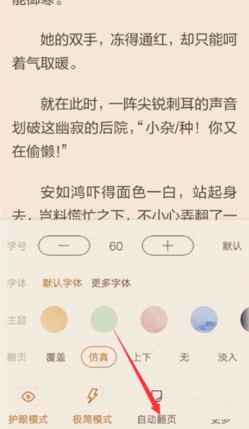 在看小说中开启自动翻页的图文教程截图