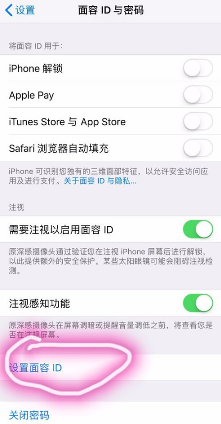 在iPhone xr中设置人脸识别的步骤介绍截图