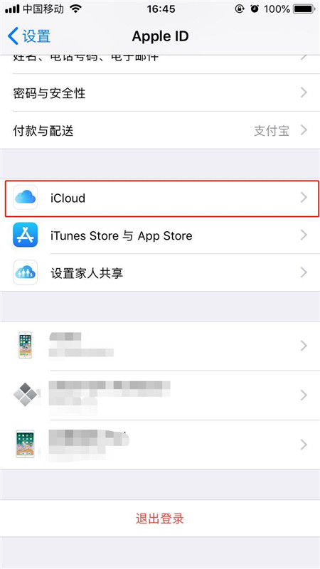 iphonexs购买内存的详细操作截图