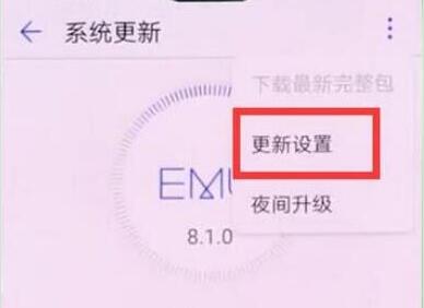 荣耀8x关掉系统自动更新的操作过程截图