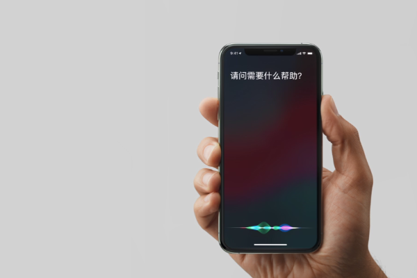 iPhonexs唤醒siri的操作流程截图