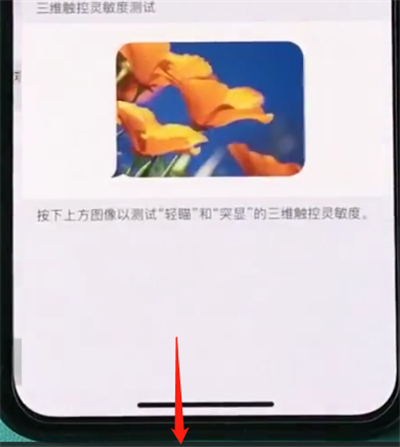 iphonexs开启半屏功能的操作流程截图