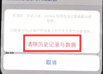 iphonexr清除Safari历史记录的操作流程截图