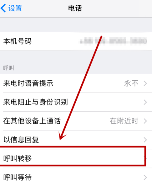 iphone设置呼叫转移的操作流程截图