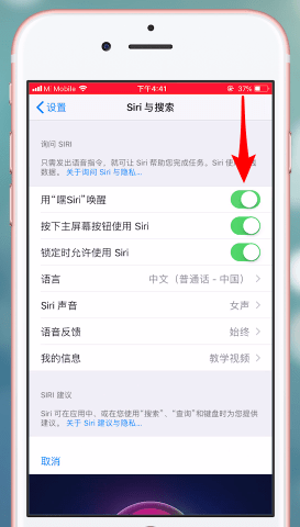 苹果手机开启siri功能的操作流程截图