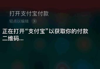 iphone使用语音支付的详细操作截图