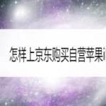 小编分享京东上怎么购买自营苹果iPhone11。