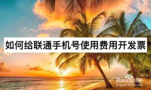 小编分享怎么给联通手机号使用费用开发票。