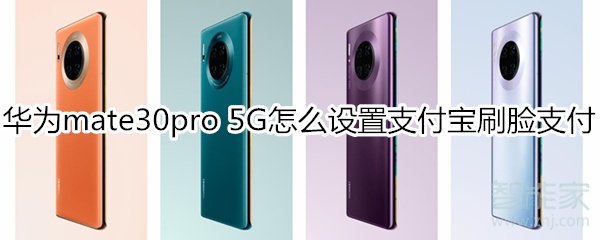 我来教你mate30pro 5G版如何设置支付宝刷脸支付。