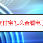 我来教你支付宝如何查看电子保单。