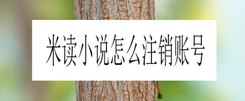 我来教你米读小说如何注销账号。