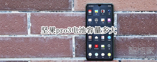 我来教你坚果pro3电池容量是多少。