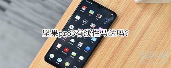 我来教你坚果pro3有没有线性马达。