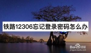 教你铁路12306忘记登录密码如何解决。