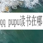 关于QQ的pupu读书在什么位置。