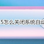 分享vivos5如何关闭系统自动更新。