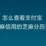 教你如何查看支付宝芝麻信用芝麻分历史。