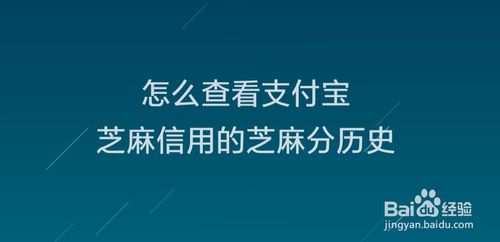 教你如何查看支付宝芝麻信用芝麻分历史。