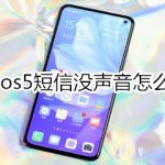 我来分享vivos5短信没声音如何处理。