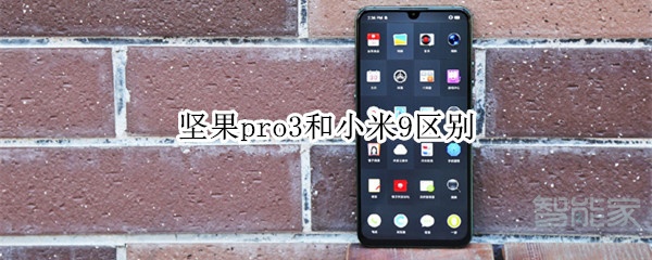 小编分享坚果pro3和小米9有什么区别。