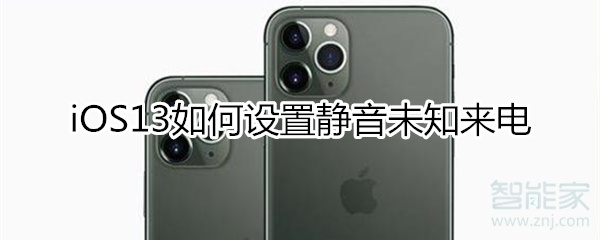 我来教你ios13静音未知来电怎么设置。