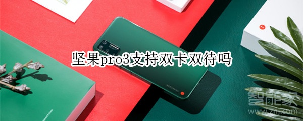 教你坚果pro3可以双卡双待吗。