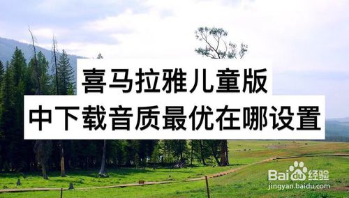 我来分享喜马拉雅儿童版下载音质最优在什么地方设置。