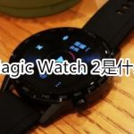 我来教你荣耀Magic Watch2使用什么屏幕。