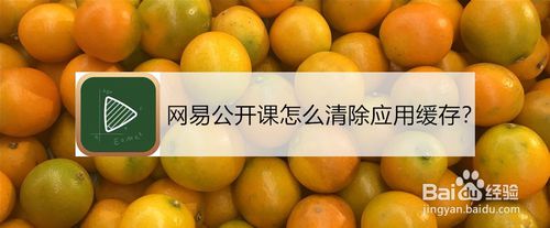 我来教你网易公开课如何清除应用缓存。