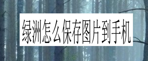 我来分享绿洲如何保存图片到手机。